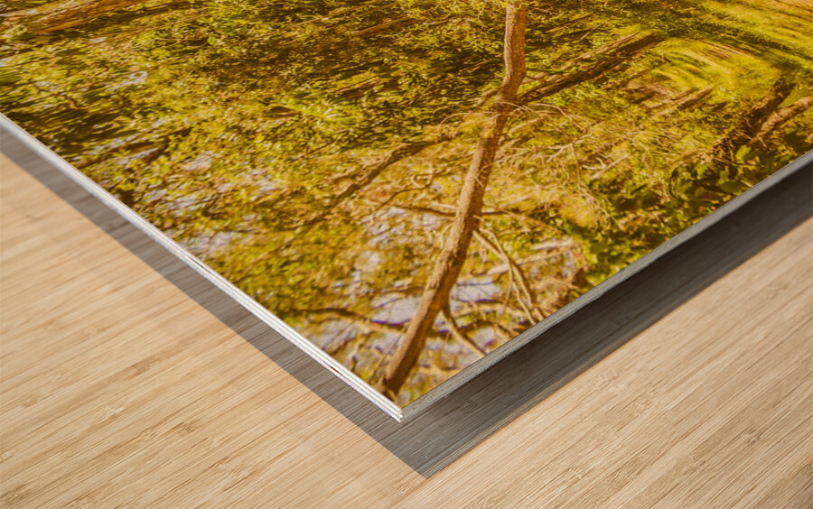 Choose your own adventure Wood print