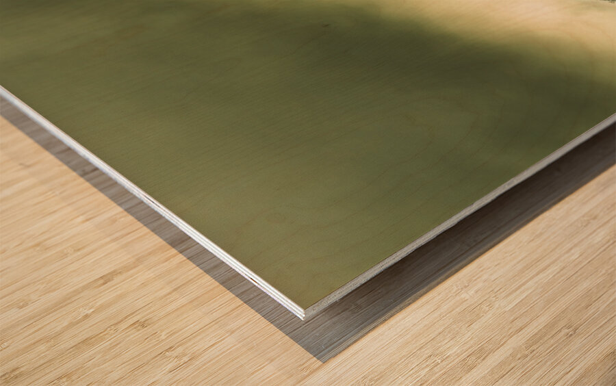 Majestic morning lake Wood print