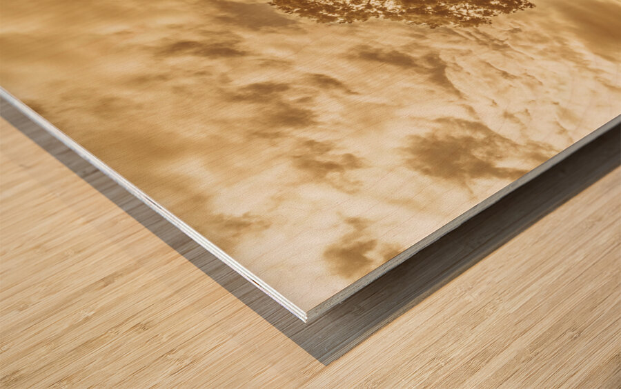 Tasmania farm sunrise Wood print