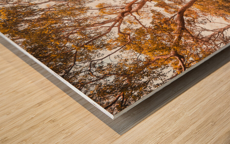 Autumn gold Wood print