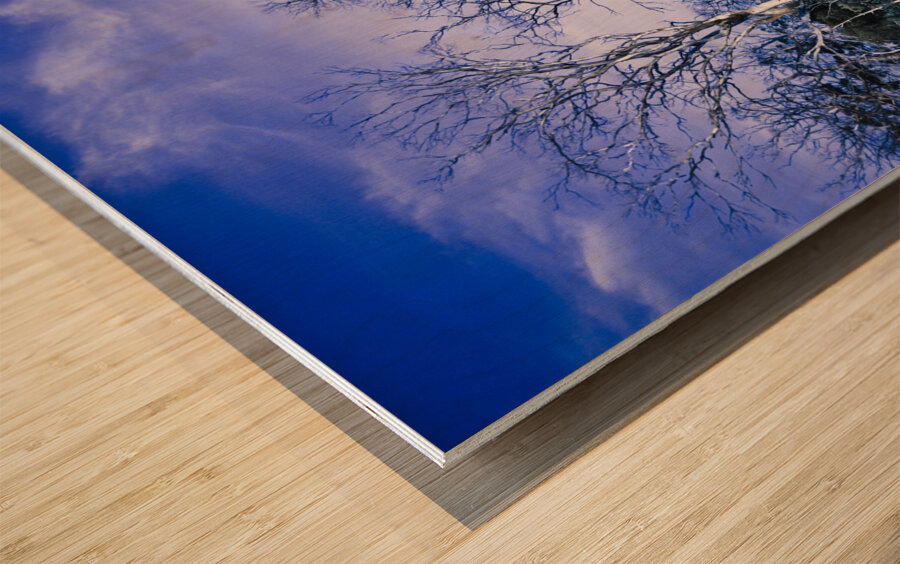 Dark scene from scary dreams Wood print