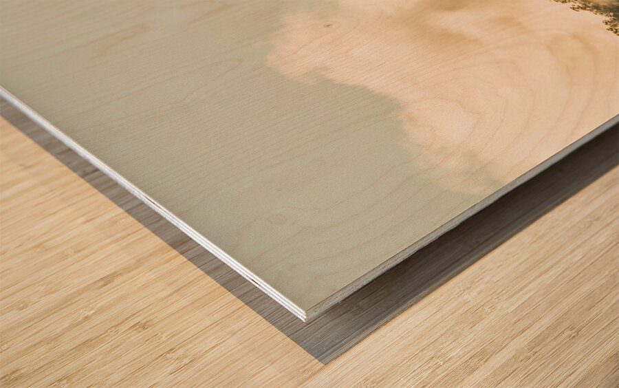 Wild morning peak Wood print