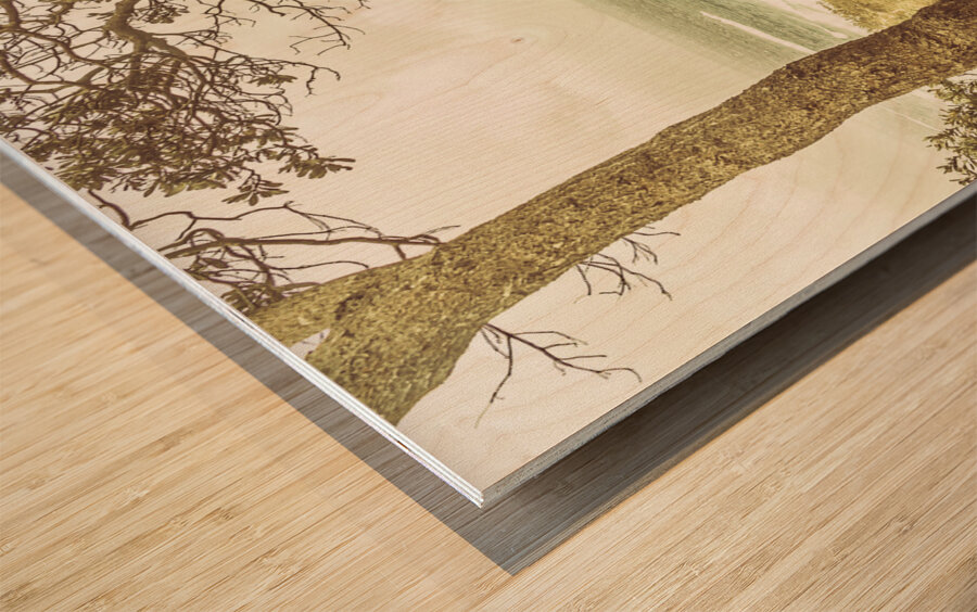 Lookout Point Wood print