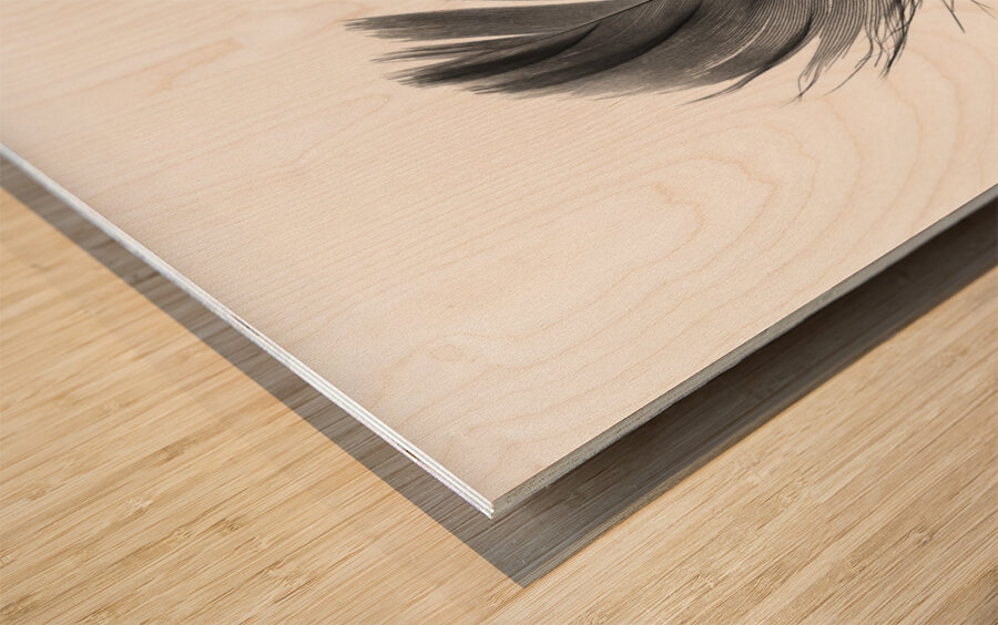 Feathermin Wood print