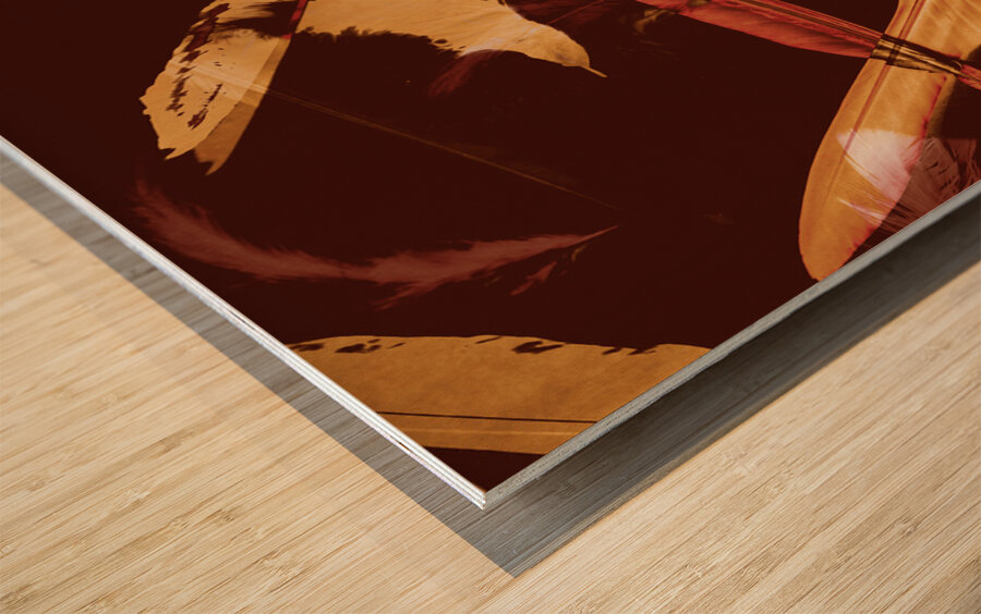 Abstract feathers falling on brown background Wood print