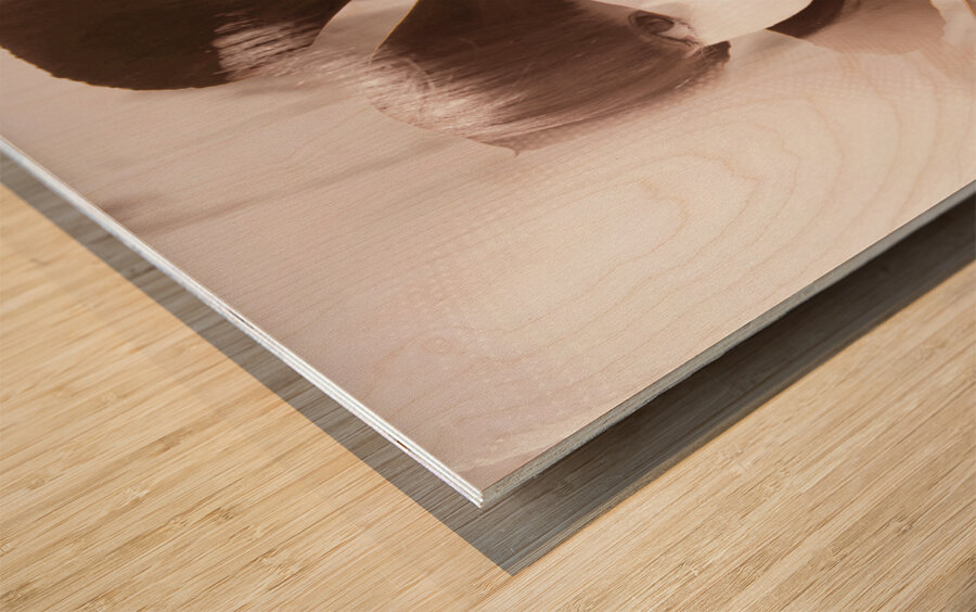 Stories of fleeting romance Wood print