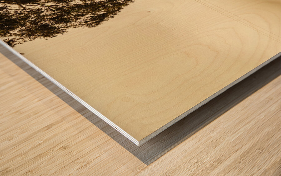 Rustic rural countryside landscape Wood print