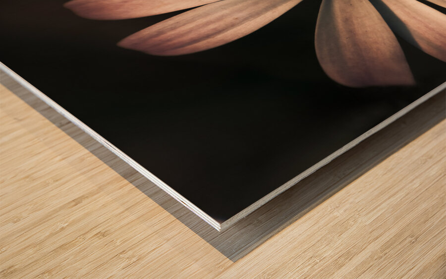 Dark Flower Wood print