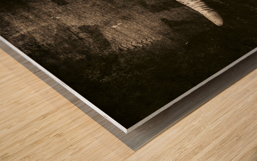 Demon Hunter Wood print