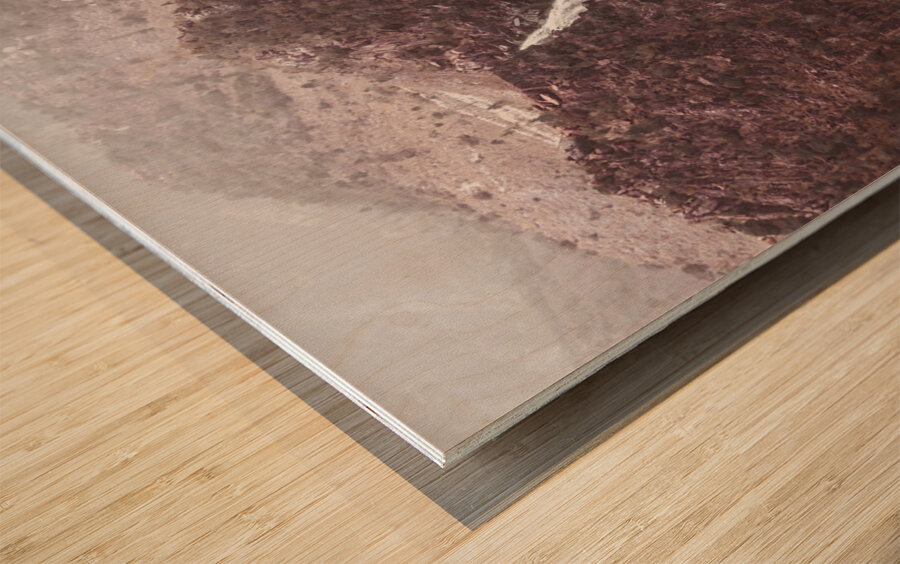 Wild west waterfall Wood print