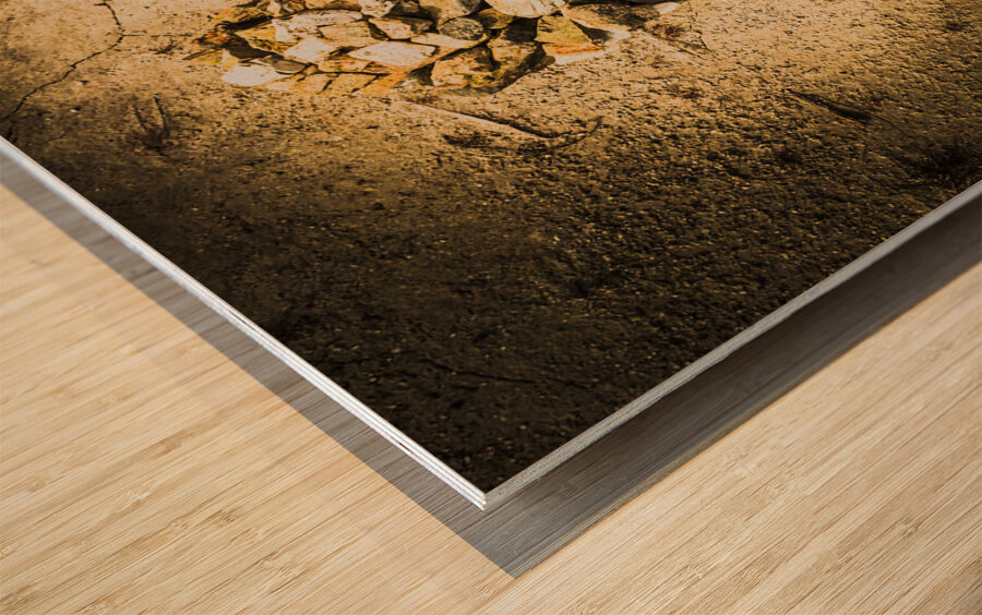 Earthly togetherness Wood print