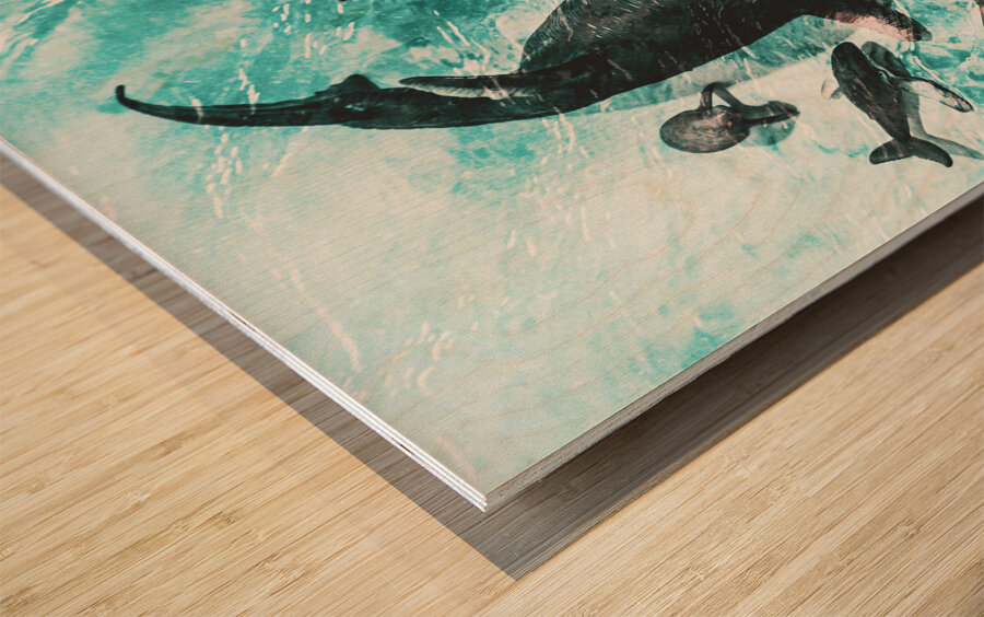 The shallows Wood print