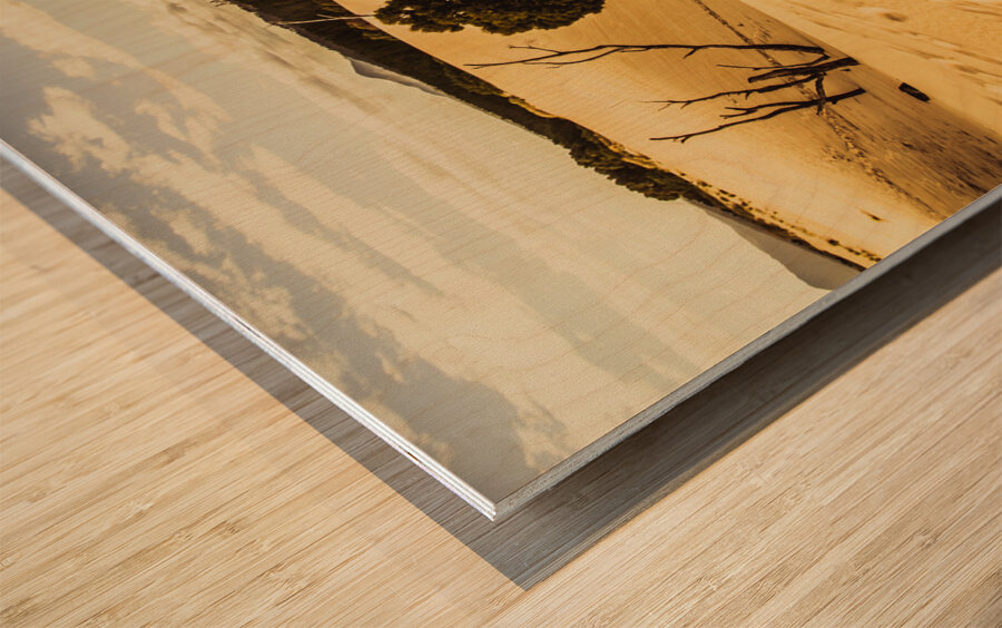 Strahan sand dune landscape Wood print