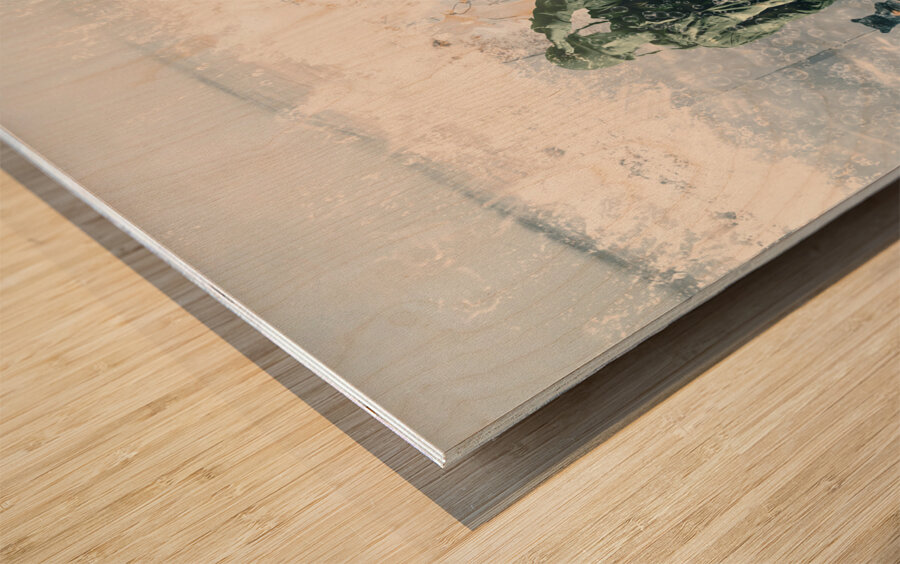 Sub-marines Wood print