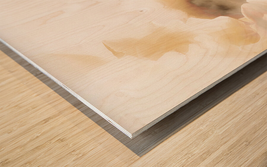 Butterfly Dreams Wood print