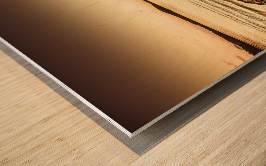 Oceanic harmony Wood print