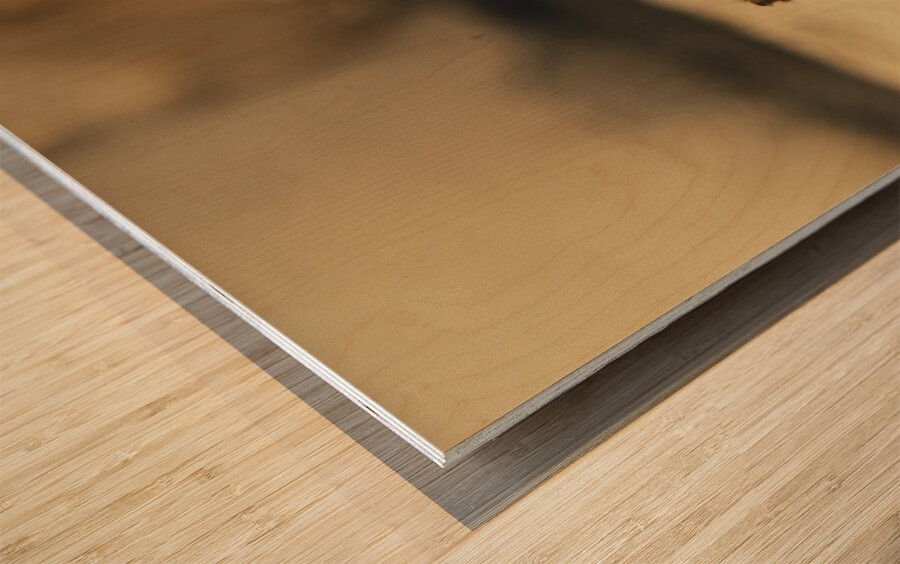 No escape Wood print