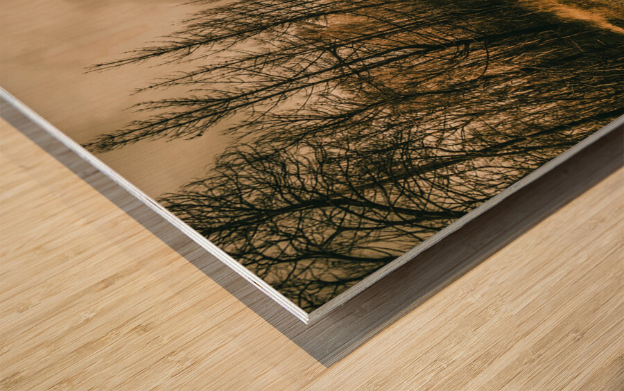 In winters way Wood print