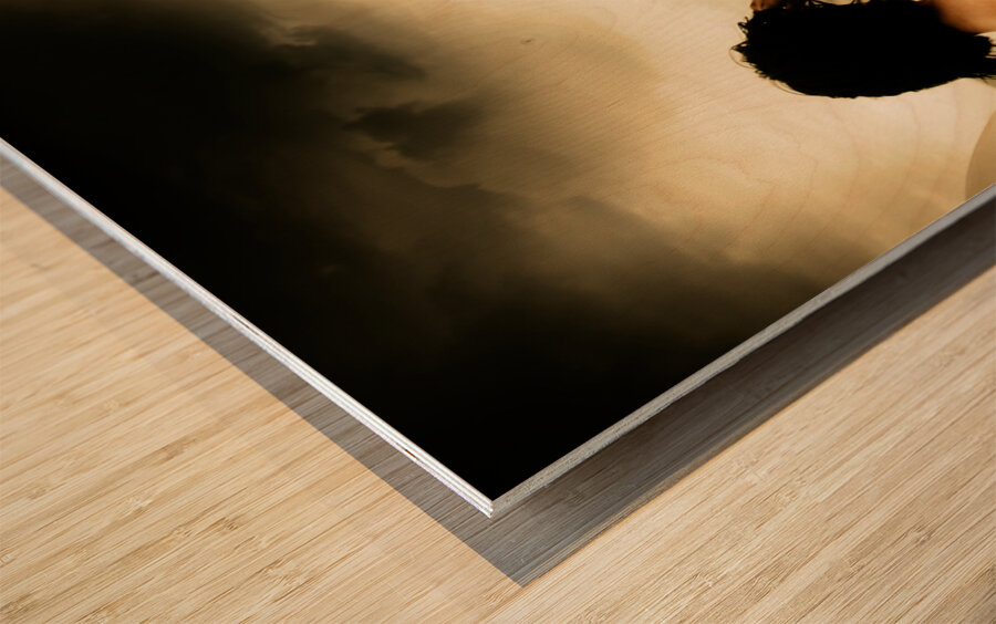 Future Vision Wood print