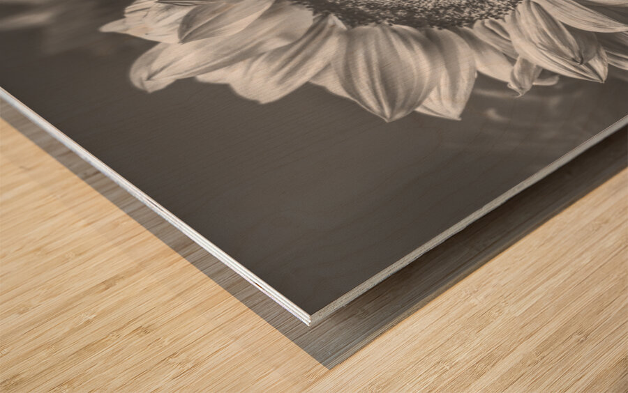 Summer nostalgia Wood print