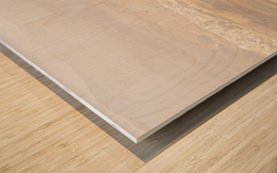 Tourist On The Tip of Western Tasmania Wood print