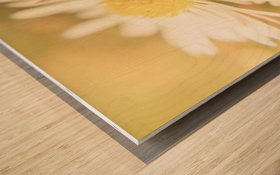 Inseparable  Wood print