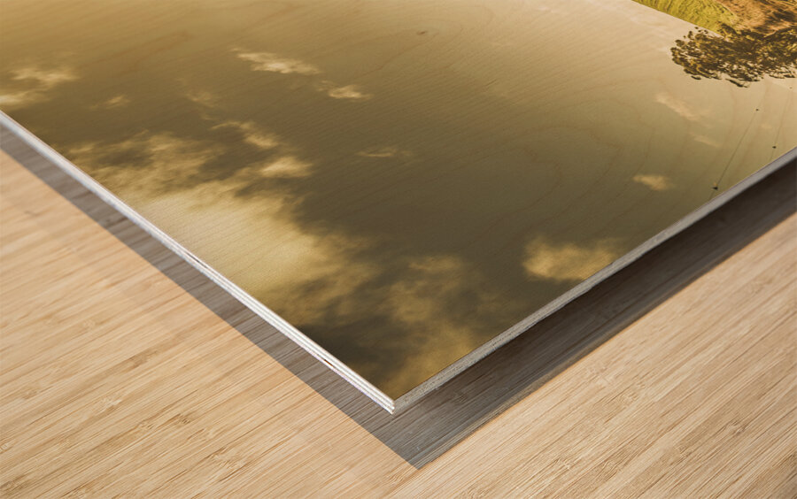 The wander Wood print