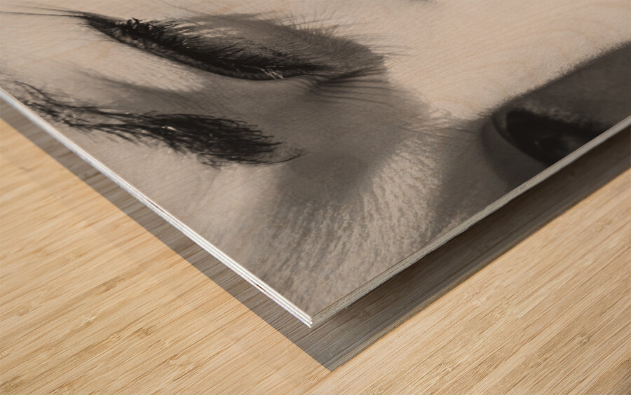 Black white and red lipgloss pinup Wood print