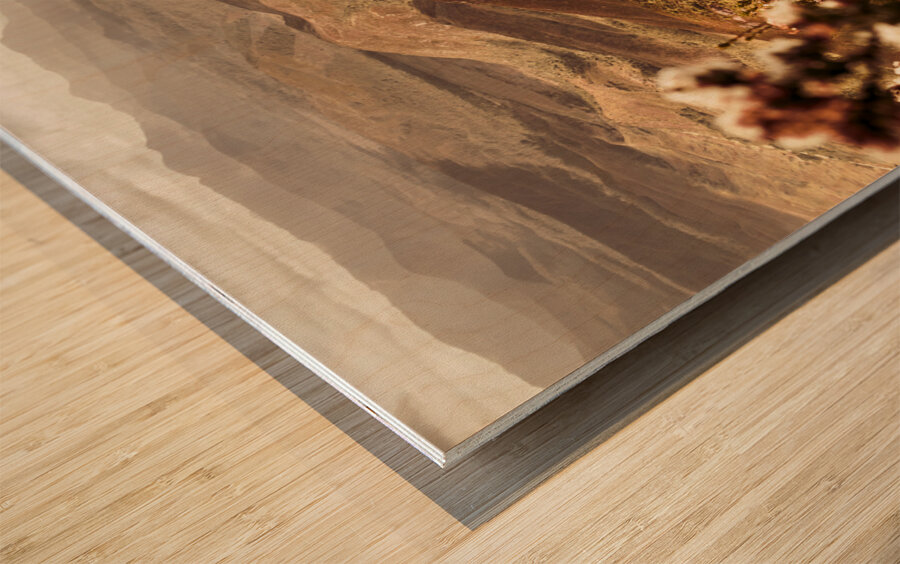 Spring mountain blossoms Wood print