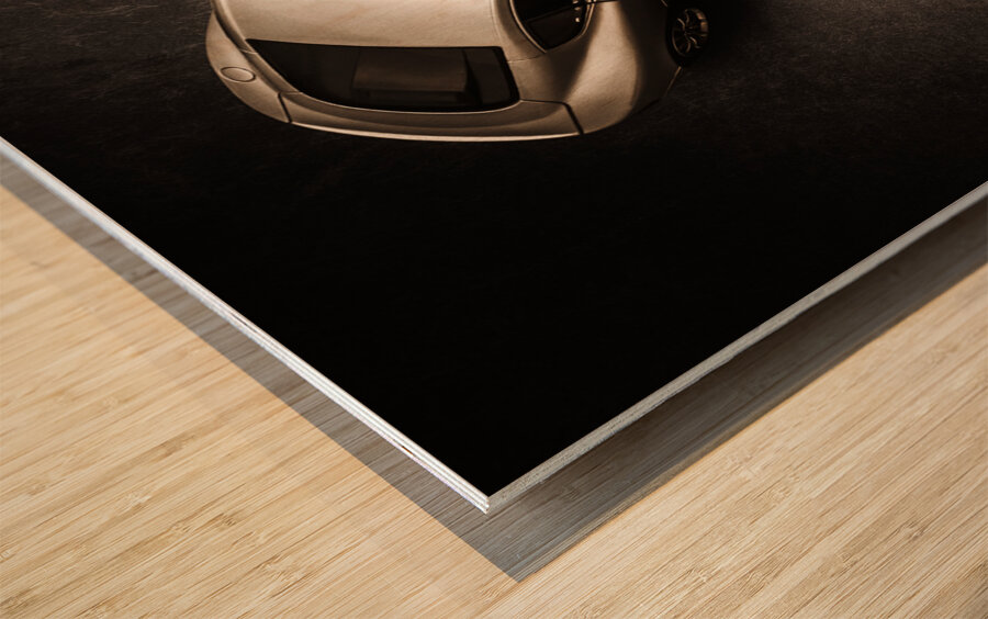 Underground racer Wood print