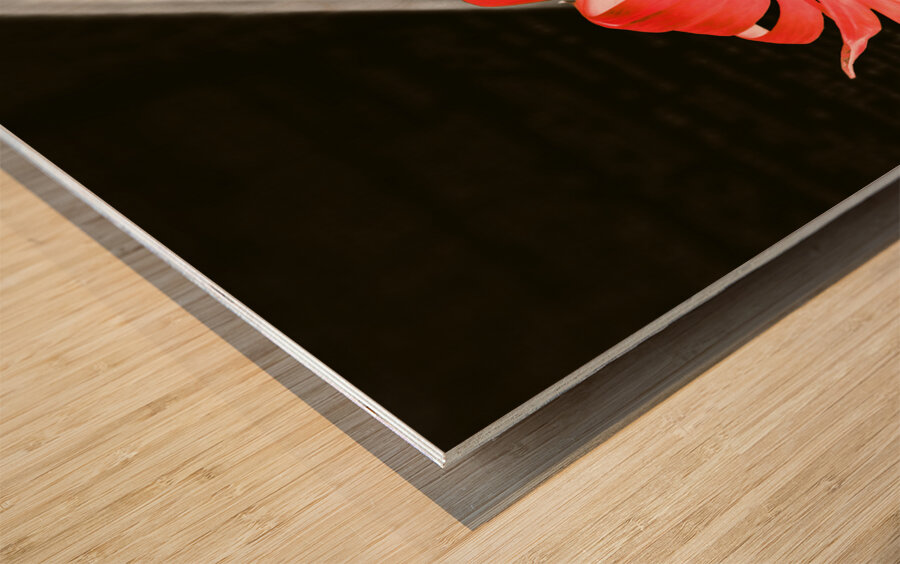 Inversion to the mean Wood print