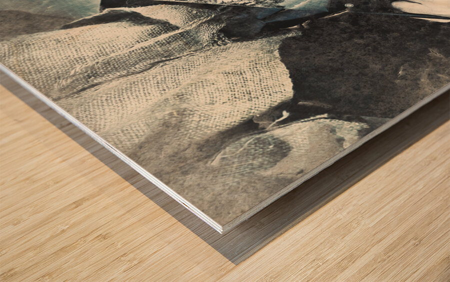 Sight for SAW eyes Wood print