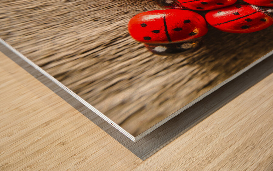 Love bug Wood print