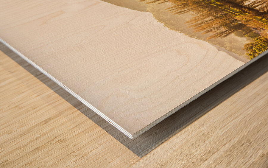 Rivers and mist Wood print