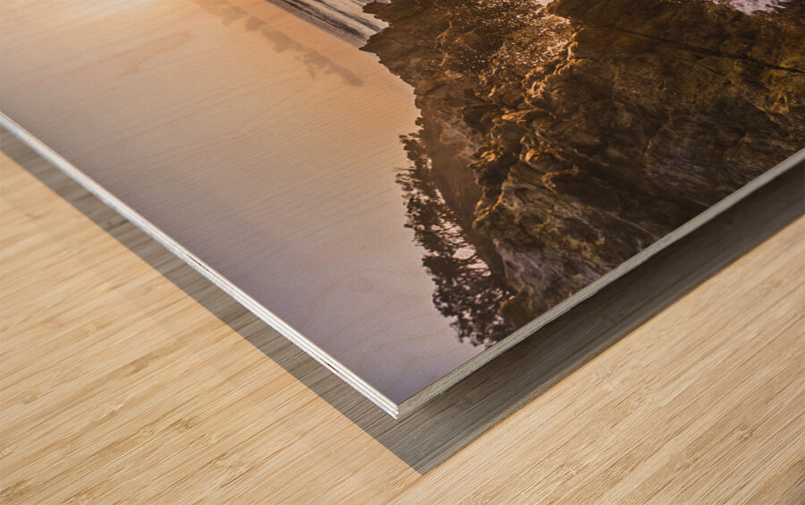 Sea splendor Wood print