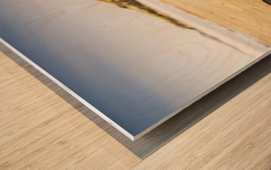 Seven Mile Beach Wood print