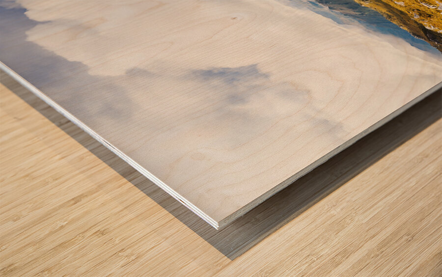 A range of colours Wood print