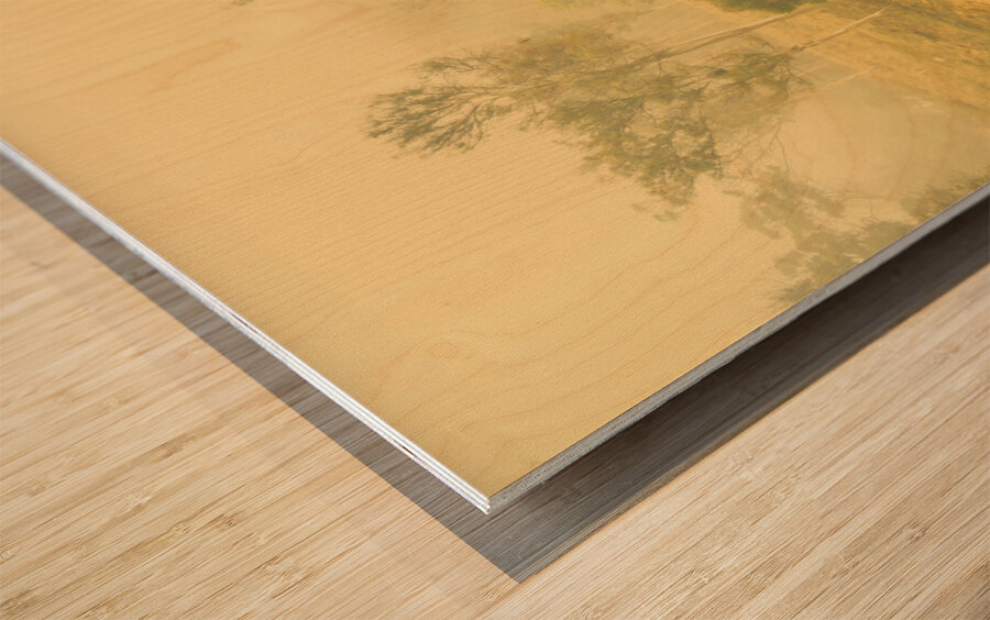 Mystical lake Wood print