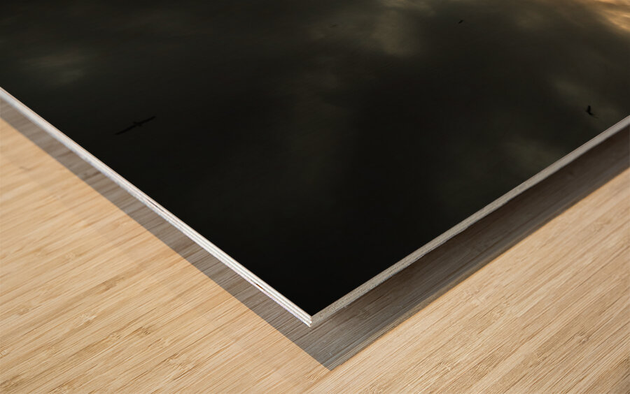 Exotic seaside sunrise Wood print