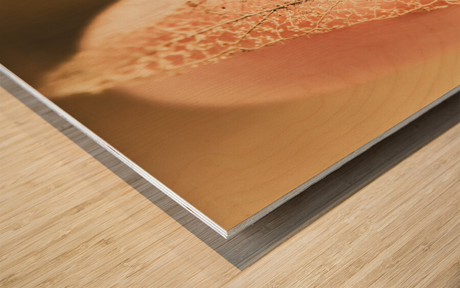 Autumn fragility Wood print