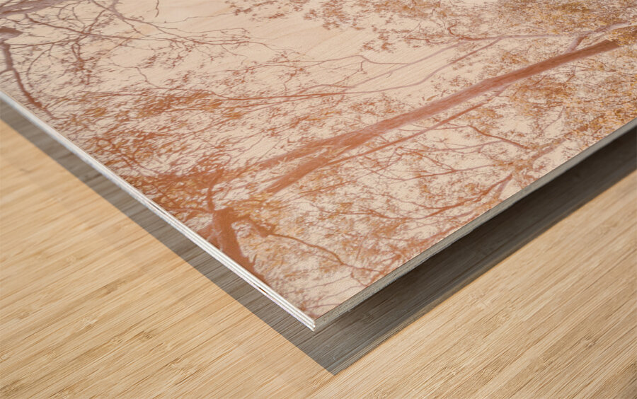 Touring Mt Walsh National Park Wood print