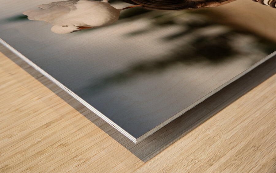 Surprised Woman Wood print