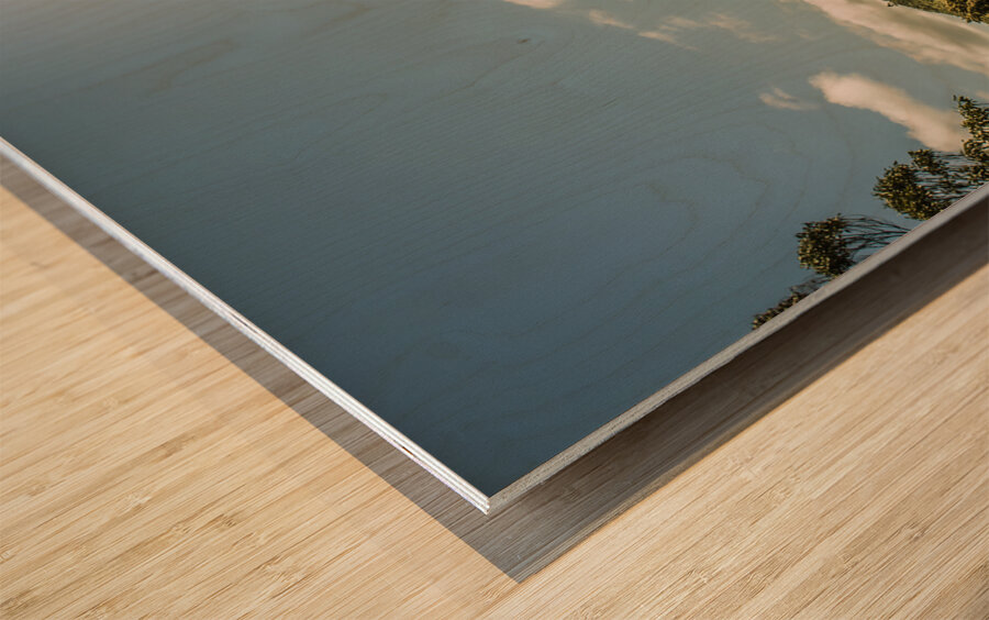 Zeehan dirt road landscape Wood print