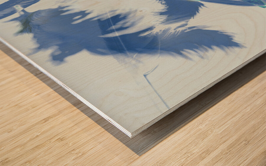 Blue toned artistic feather abstract Wood print