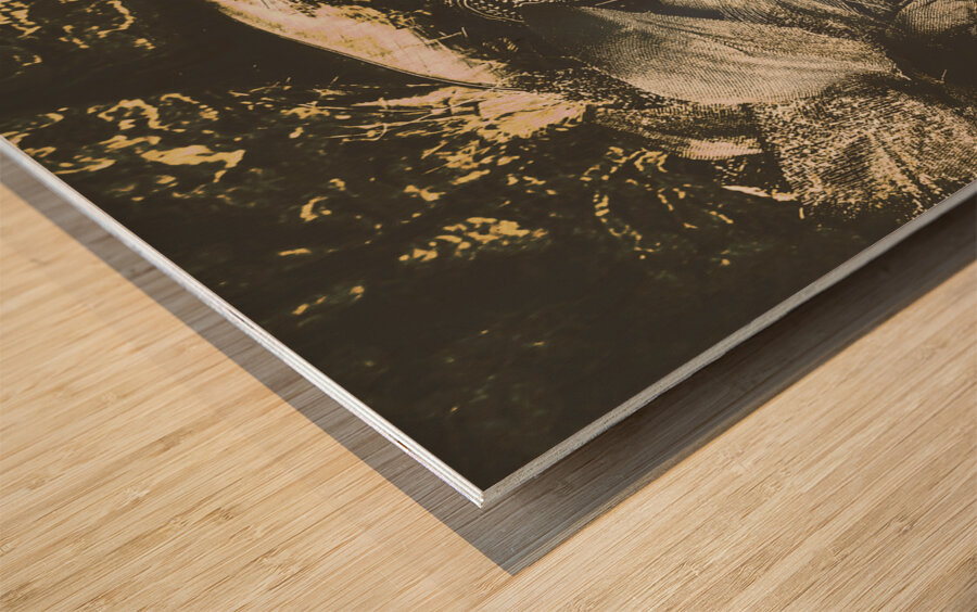 Vintage cabernet show Wood print