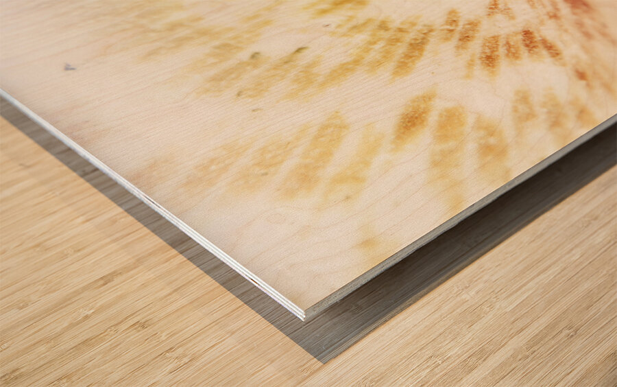 Colorful light flare over seashell Wood print