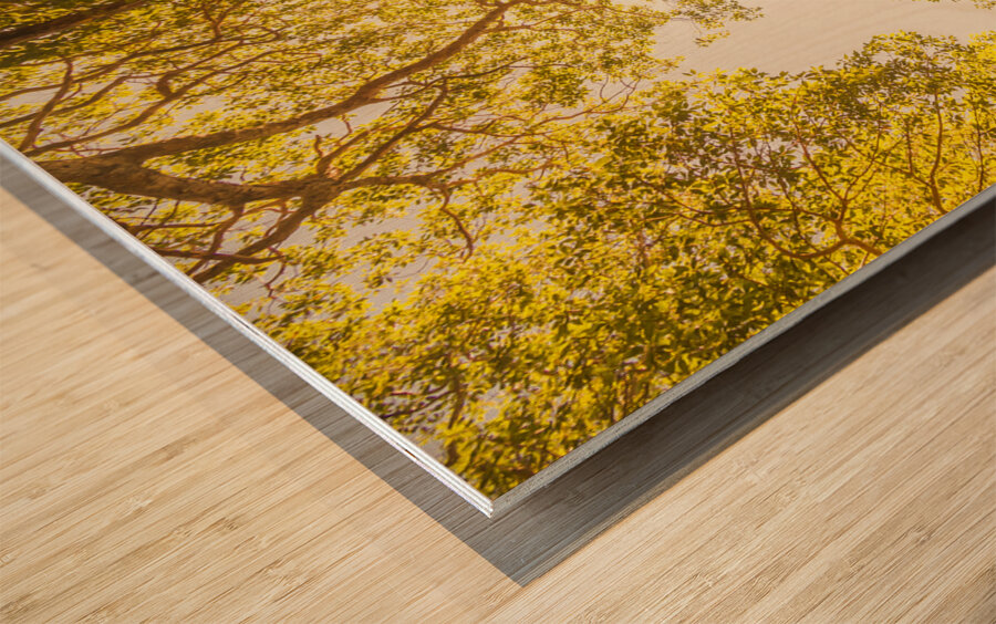 Up and away Wood print