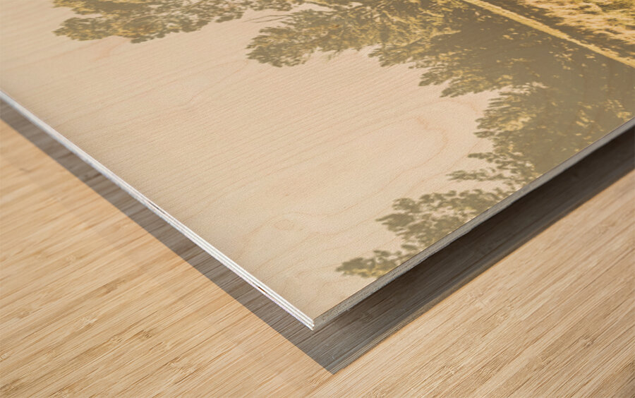 Old-fashioned country lane Wood print