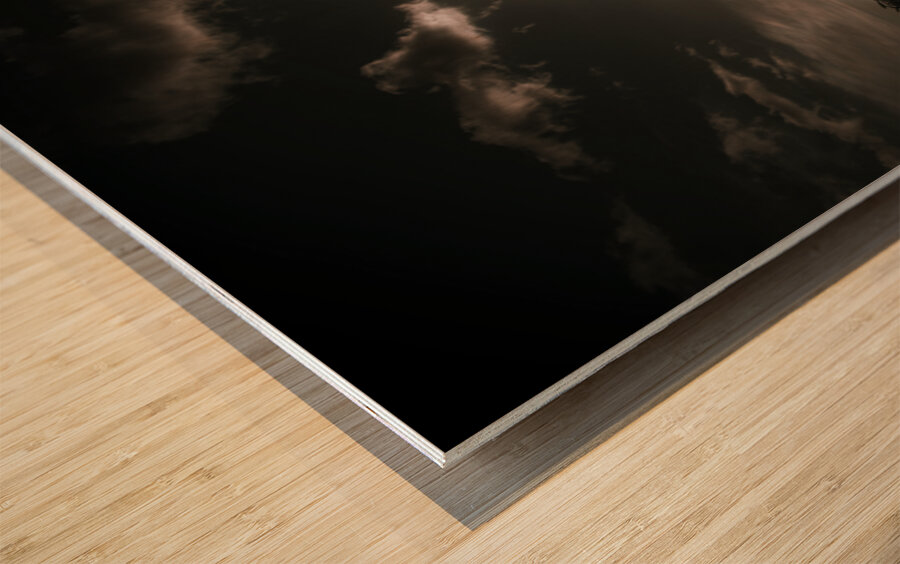 Field Of Dreams Wood print