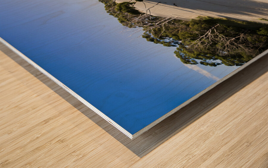 West Coast Tasmania desert panorama Wood print